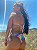 Conjunto Lacinho Tie Dye - Imagem 2