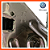 Quadro Agregado de Suspensão VW 5U0199315 5U0199549 - Imagem 3