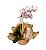 Box Orquídea Com Sabonetes Natura Tododia - Imagem 3