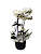 Box Com Orquídea - Imagem 3