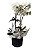 Box Com Orquídea - Imagem 2