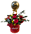 Box De 6 Rosas Vermelhas e Balão - Imagem 4
