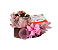 Calandiva Com Raffaello 90g - Imagem 3