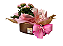Calandiva Com Sabonetes Natura - Imagem 2