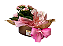 Calandiva Com Sabonetes Natura - Imagem 6