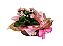 Calandiva Com Sabonetes Natura - Imagem 5