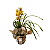 Orquídea Cymbidium - Imagem 7