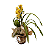 Orquídea Cymbidium - Imagem 4