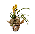 Orquídea Cymbidium PT17 - Imagem 2