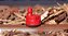 Emissor Rain Bird Xeri-Bug XBCV-20PC Vermelho 7,6 lph - Imagem 2