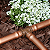 Conector Inicial Para Tubo Gotejador Rain Bird XFF-TEE 1/2 x 17mm - Imagem 3