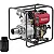Motobombas Branco BD-700 CFE - Imagem 1