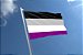 Bandeira Assexual - Imagem 1