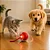 Bola Automática Interativa com Corda e Luz para Cães e Gatos - Imagem 1