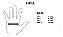 Par Luvas Ciclismo Dedo Curto DVORAK DK 9938 Bike Academia - Imagem 8
