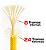 Linha Dyneema 1,7mm Stiff para Arpão Arbalete Pesca Sub - Best Red - Imagem 3
