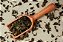 Chá verde IMPORTADO (Camellia sinensis) - Imagem 2