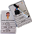 Atividade Pedagógica Interpretação de Frases - Imagem 1