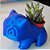 Pokemon Bulbassauro Detalhado Vaso Suculentas - Imagem 2