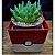 Pokemon Pokebola Cubo Vaso Suculentas - Imagem 2