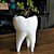 Dente Vaso Suculentas - Imagem 1