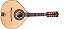 Bandolim Eletrico Rozini Rb 22 Natural Jacaranda - Imagem 1