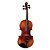 Violino 4/4 Eagle Vk 644 Envelhecido - Imagem 1