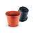 100 Vasos Pote 20 De 3 Litros Mudas Rosa Do Deserto E Flores marrom - Imagem 1