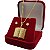 Conjunto Feminino Bíblia Pai Nosso + Brincos | Banhado a Ouro 18K 45cm - Imagem 6