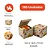 H10K - 100 un – Caixa para Hambúrguer Artesanal Alto Kraft 12,4x12,4x10cm com Montagem Automática e Respiros para Delivery - Imagem 1
