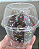 120 un – Pote Descartável Transparente 180ml com Tampa Alta Cúpula para Bolo no Pote e Sobremesas - Imagem 6