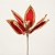 Flor de Poinsétia Artificial Vermelha com Juta Rústica 25cm (74839001) - Imagem 2