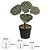 Planta Artificial Geranio Real Toque C/Pote x5 (VERDE PURPURA) 24cm - Imagem 2