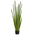 F.RABO DE TATU C/POTE X24 (VERDE) 1,27m (FLORARTE) Vol. 1 - Imagem 1