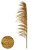 PLUMA PENDAO CANABRAVA C/3 HASTES DESIDRATADO (OCRE) 150CM - Imagem 1