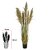 F.GRASS PAMPAS C/POTE X5 (VERDE OUTONO) 1,5m - Imagem 1