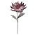 H.MAGNOLIA EVA (BEAUTY OUTONO) 92cm - Imagem 1