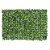 F. Grama Placa Plástico X247 (Verde) – 40x60cm - Imagem 1