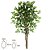 A. Ficus X756 (Verde) – 1,5m - Imagem 1