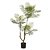 A. Acácia c/ Pote Plástico X20 (Verde) – 1,2m - Imagem 1