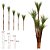 Planta Artificial Yucca em Plástico - Verde - 1,95m - Imagem 1