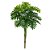 A. Philo Real Toque X15 (Verde) – 90cm - Imagem 1