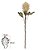 H. Protea (Creme) – 75cm - Imagem 1