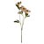 H. Heleboros Real Toque X3 (Chá Outono) – 65cm - Imagem 1