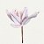 Flor de Poinsétia Artificial Haste Bico de Papagaio Rosa Claro 27cm - Imagem 1