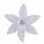 Flor Poinsetia Decorativa de Natal Branca 39cm (FL3416) - Imagem 1