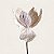 Flor de Poinsétia Artificial Aveludada Bege 18cm (85292001) | Decoração - Imagem 2