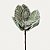 Flor de Poinsétia Artificial Aveludada Verde com Cristais e Pérolas 18cm (85292005) - Imagem 2
