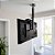 Suporte Giratório TV _ Fixação Teto _ Com regulagem de Altura - Prateleira de Aço Preta - Aço Inox Brilhante ou Escovado - Para TV’s de 32” a 55” - Imagem 7