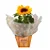Girassol plantado no cachepô - Imagem 1